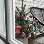 Apartmán Romantic Terrace In Karlin Praha