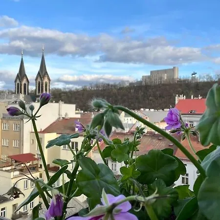 Romantic Terrace In Karlin Praga