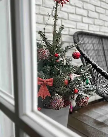 Apartment Romantic Terrace In Karlin Prague